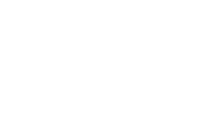 Birks Motor Works Logo Reversed